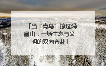 当“青鸟”掠过舜皇山：一场生态与文明的双向奔赴