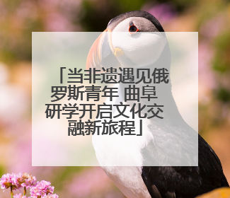 当非遗遇见俄罗斯青年 曲阜研学开启文化交融新旅程