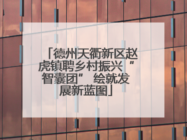 德州天衢新区赵虎镇聘乡村振兴“智囊团” 绘就发展新蓝图