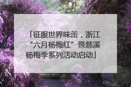 征服世界味蕾，浙江“六月杨梅红”暨慈溪杨梅季系列活动启动