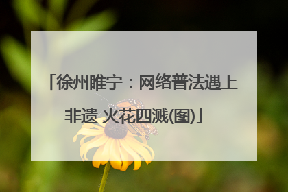 徐州睢宁：网络普法遇上非遗 火花四溅(图)
