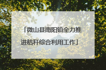 微山县南阳镇全力推进秸秆综合利用工作