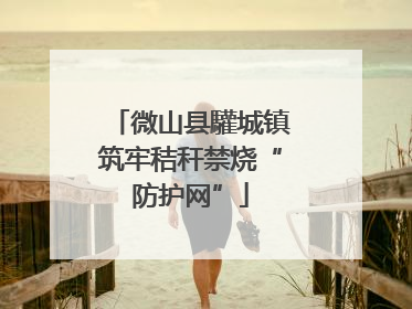 微山县驩城镇筑牢秸秆禁烧“防护网”