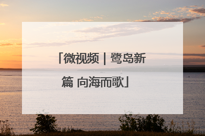 微视频｜鹭岛新篇 向海而歌