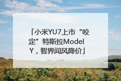 小米YU7上市“咬定”特斯拉Model Y，智界闻风降价