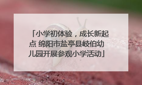 小学初体验，成长新起点 绵阳市盐亭县岐伯幼儿园开展参观小学活动