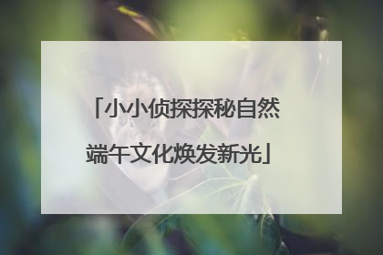 小小侦探探秘自然 端午文化焕发新光
