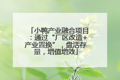 小鸭产业融合项目：通过“厂区改造+产业置换”，盘活存量，增值增效