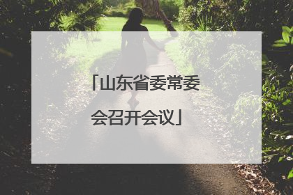 山东省委常委会召开会议
