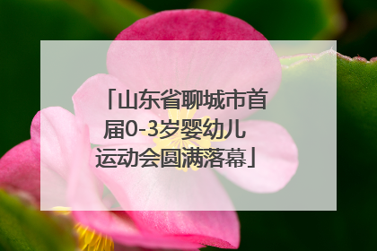 山东省聊城市首届0-3岁婴幼儿运动会圆满落幕
