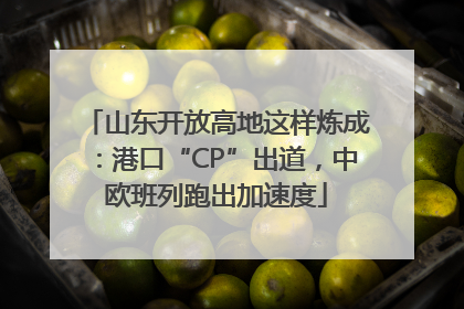 山东开放高地这样炼成：港口“CP”出道，中欧班列跑出加速度
