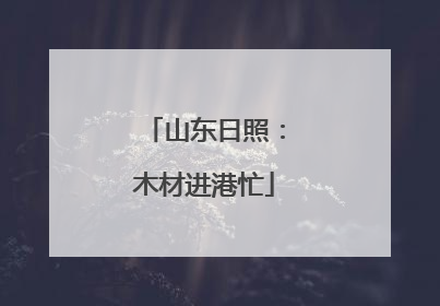 山东日照：木材进港忙