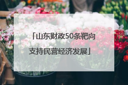 山东财政50条靶向支持民营经济发展