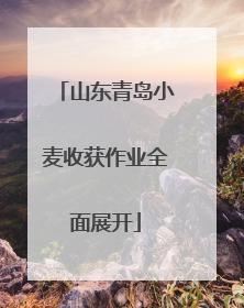 山东青岛小麦收获作业全面展开