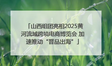 山西组团亮相2025黄河流域跨境电商博览会 加速推动“晋品出海”