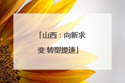 山西：向新求变 转型提速