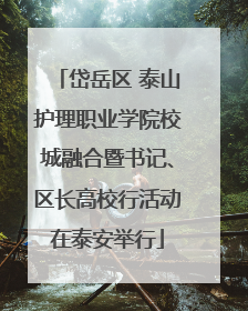 岱岳区 泰山护理职业学院校城融合暨书记、区长高校行活动在泰安举行