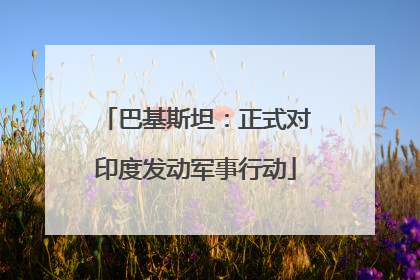 巴基斯坦：正式对印度发动军事行动