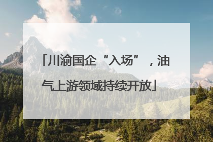 川渝国企“入场”，油气上游领域持续开放