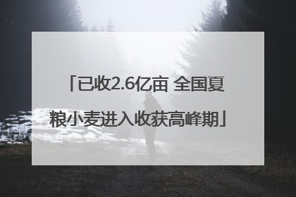 已收2.6亿亩 全国夏粮小麦进入收获高峰期