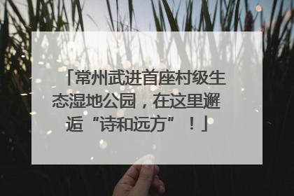 常州武进首座村级生态湿地公园，在这里邂逅“诗和远方”！