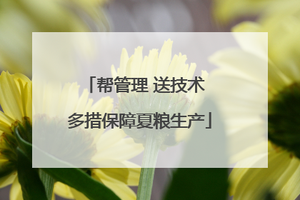 帮管理 送技术 多措保障夏粮生产