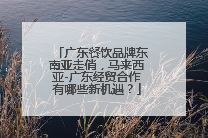 广东餐饮品牌东南亚走俏，马来西亚-广东经贸合作有哪些新机遇？