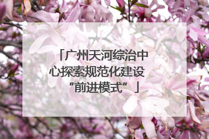 广州天河综治中心探索规范化建设“前进模式”