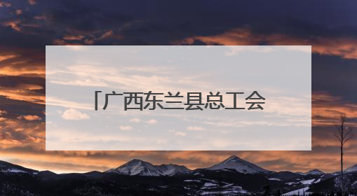 广西东兰县总工会情暖童心呵护成长