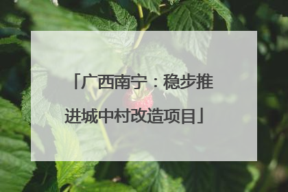 广西南宁：稳步推进城中村改造项目