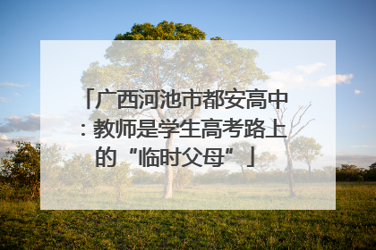广西河池市都安高中：教师是学生高考路上的“临时父母”