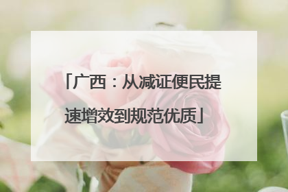 广西：从减证便民提速增效到规范优质