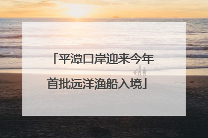 平潭口岸迎来今年首批远洋渔船入境