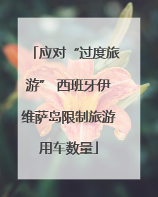 应对“过度旅游” 西班牙伊维萨岛限制旅游用车数量