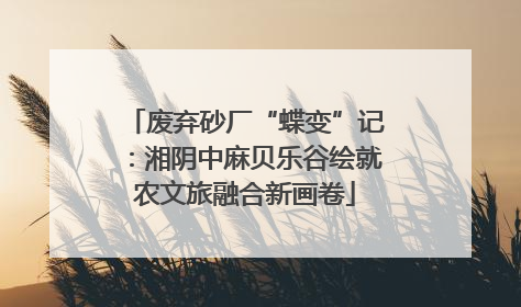 废弃砂厂“蝶变”记：湘阴中麻贝乐谷绘就农文旅融合新画卷