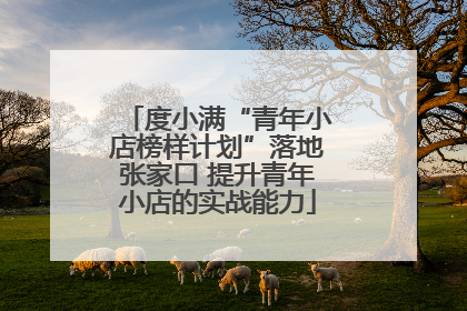 度小满“青年小店榜样计划”落地张家口 提升青年小店的实战能力