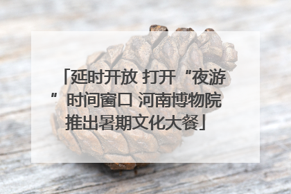 延时开放 打开“夜游”时间窗口 河南博物院推出暑期文化大餐