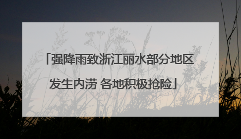 强降雨致浙江丽水部分地区发生内涝 各地积极抢险