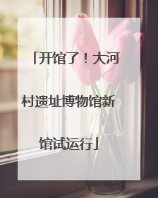 开馆了！大河村遗址博物馆新馆试运行