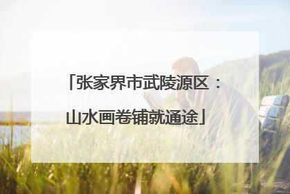 张家界市武陵源区：山水画卷铺就通途