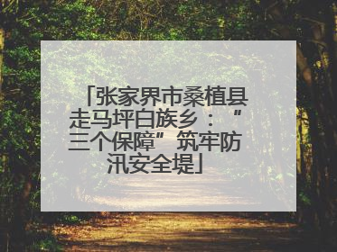 张家界市桑植县走马坪白族乡：“三个保障”筑牢防汛安全堤
