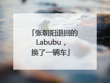 张朝阳退回的Labubu，换了一辆车