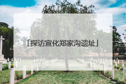 探访宣化郑家沟遗址