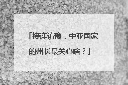 接连访豫，中亚国家的州长最关心啥？