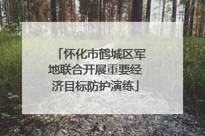 怀化市鹤城区军地联合开展重要经济目标防护演练