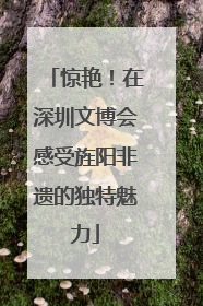 惊艳！在深圳文博会感受旌阳非遗的独特魅力