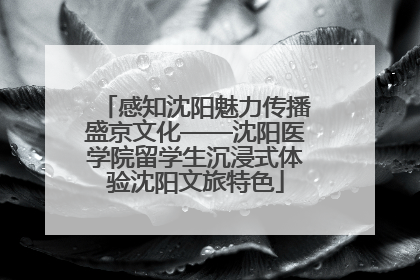 感知沈阳魅力传播盛京文化——沈阳医学院留学生沉浸式体验沈阳文旅特色