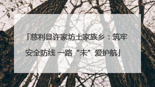 慈利县许家坊土家族乡：筑牢安全防线 一路“未”爱护航