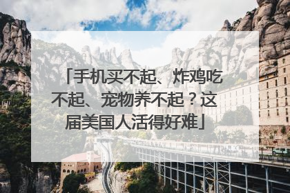 手机买不起、炸鸡吃不起、宠物养不起？这届美国人活得好难