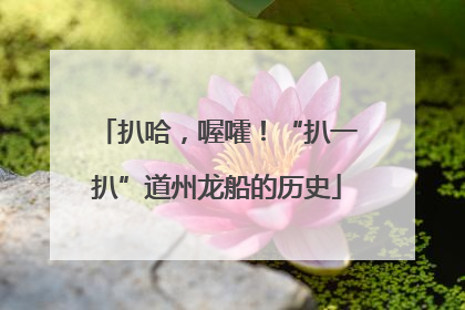 扒哈，喔嚯！“扒一扒”道州龙船的历史
